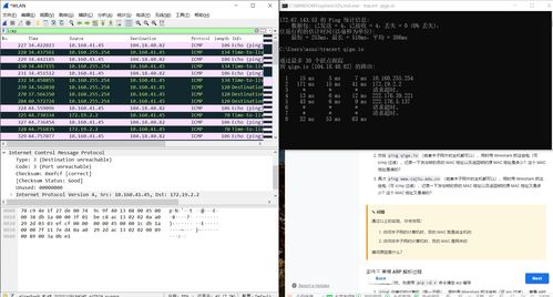 計(jì)算機(jī)網(wǎng)絡(luò) 數(shù)字時代的基石